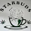 Logo for Star Budz Canna Cafe & THC Dispensary