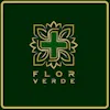 Flor Verde San Sebastian