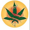 Maui Wowie Dispensary