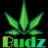 Budz logo