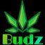 Logo for Budz