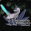 Enchanted Botanicals NM- Menaul