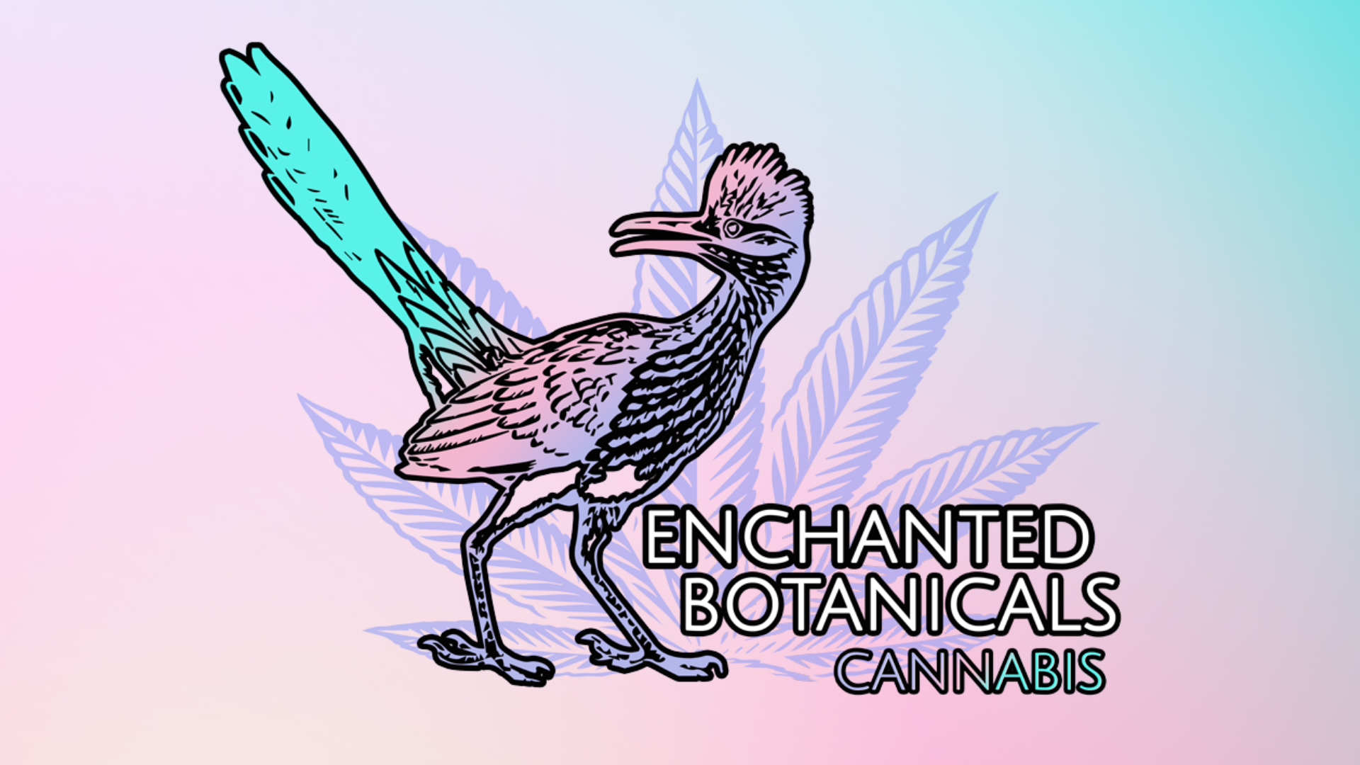 Enchanted Botanicals NM Menaul Dispensary Menu, Reviews & Photos