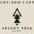 SpeedyTree logo