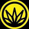 Cannabis21+ - Ukiah