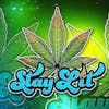 Stay Lit Shop & CBD Dispensary