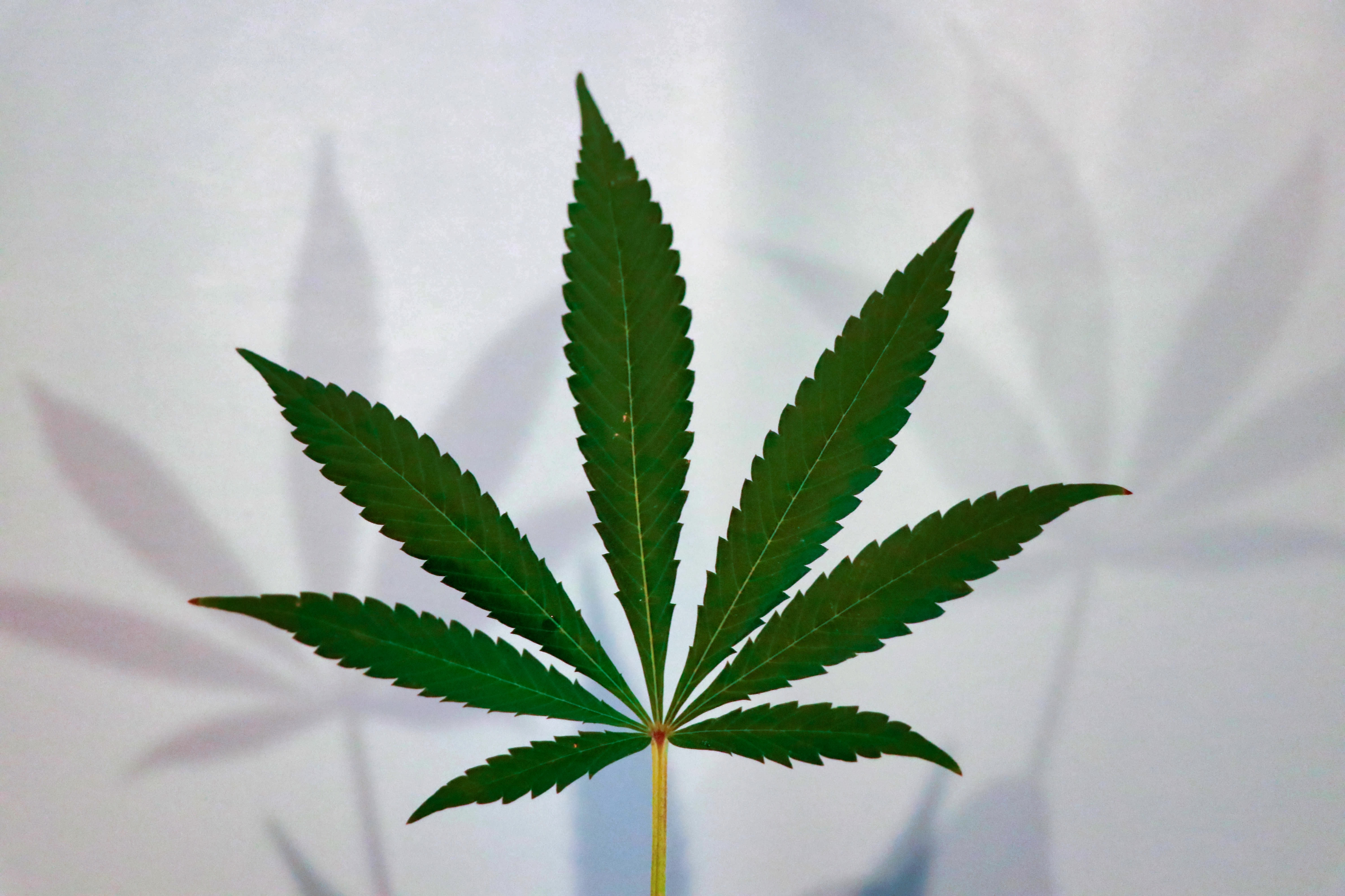 Natural Relief Medical