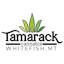 Logo for Tamarack Cannabis - Whitefish