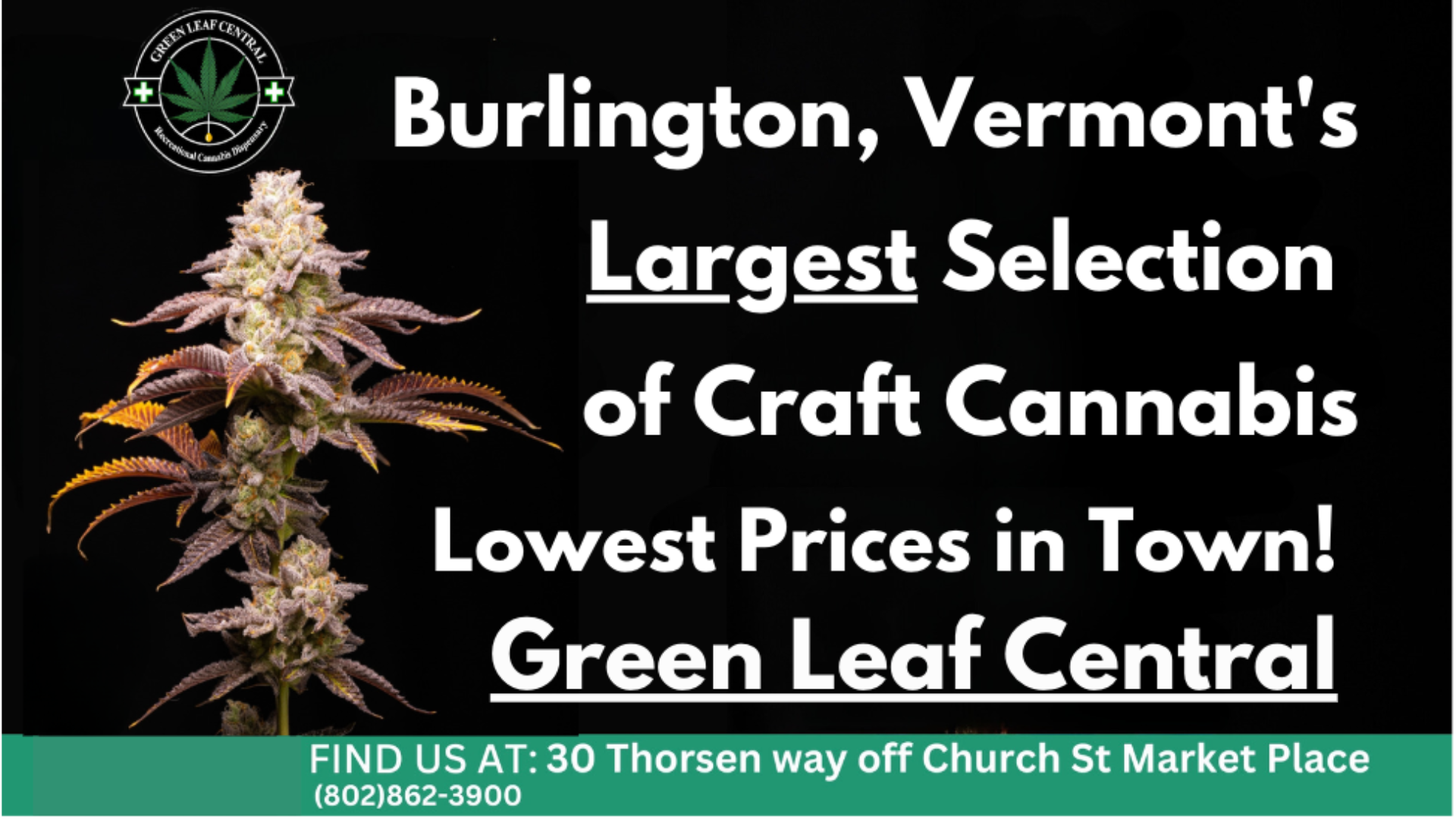 Green Leaf Central