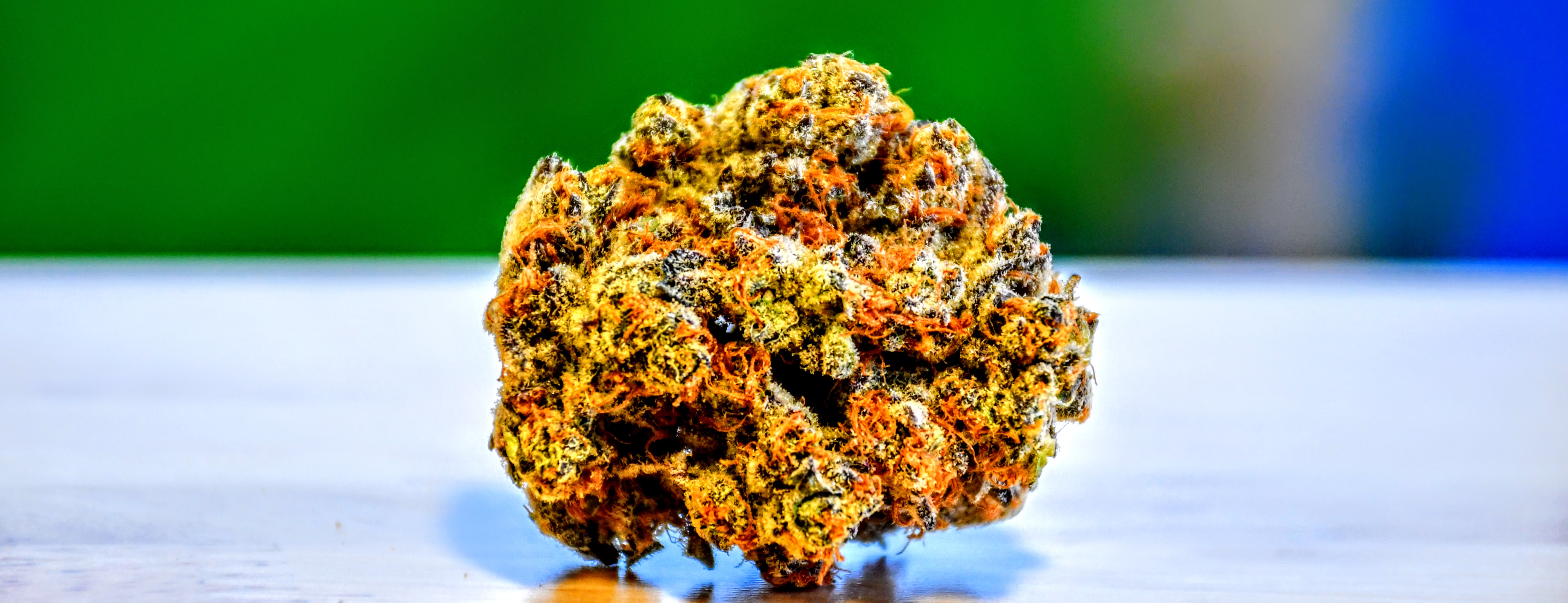 Kingston Cannabis Inc