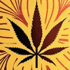 No Worries Dispensary