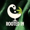 Rooted In