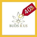 Buds R Us - Delivery-logo