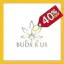 Logo for Buds R Us - Delivery