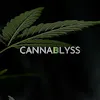 CannaBlyss (opening soon)