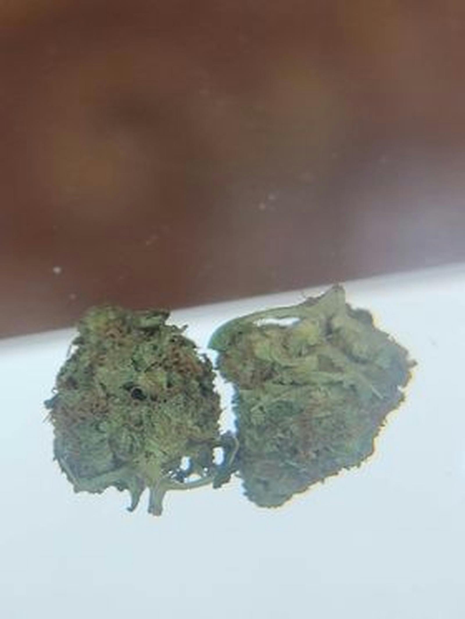 Northern Hills Alternative Health Sturgis, SD Dispensary Leafly