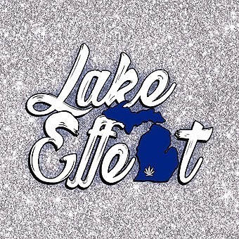 Lake Effect - Westnedge (Medical) — Dispensaries in Portage, MI