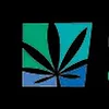 Cambridge Cannabis Co