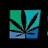 Cambridge Cannabis Co logo