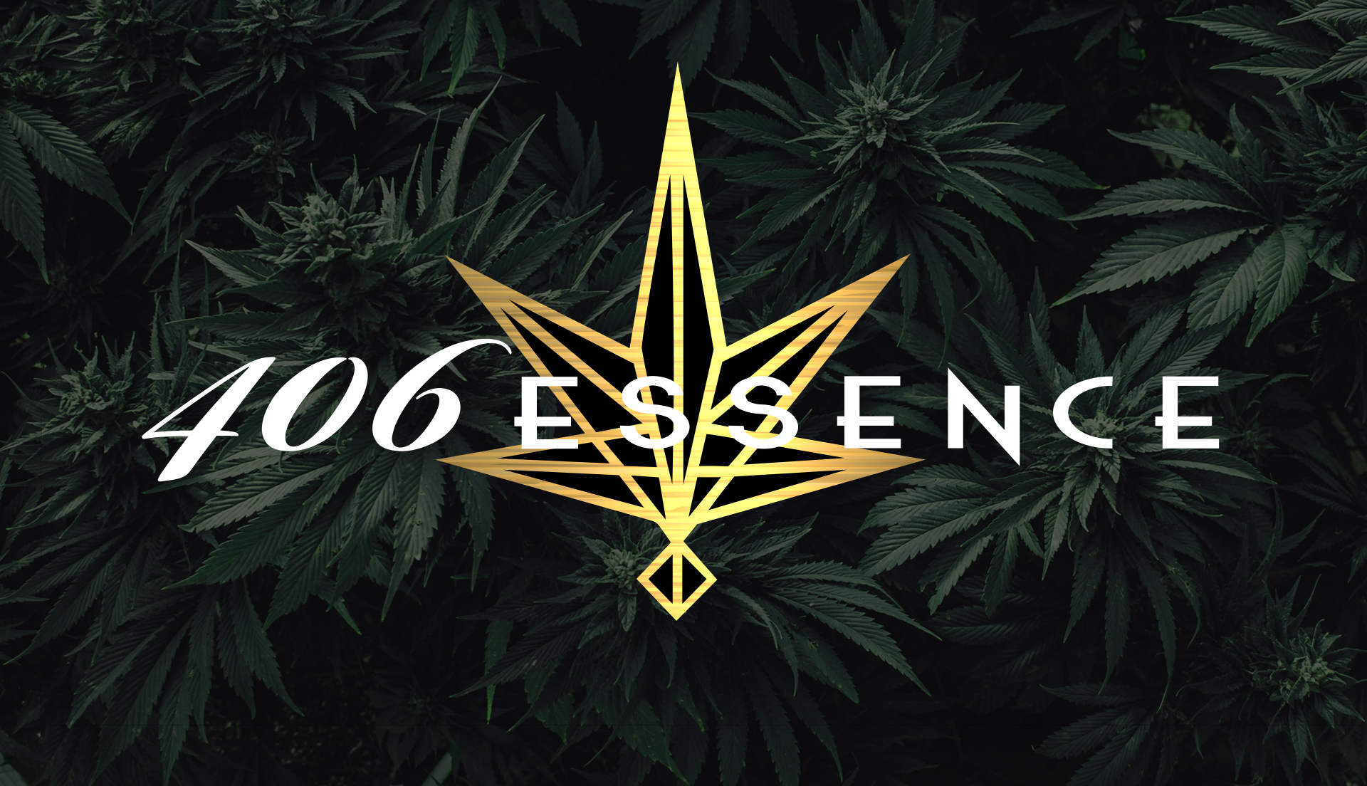 406 Essence of Safe Access Dispensary Menu, Reviews & Photos