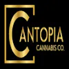 Cantopia Cannabis Co - Waterloo