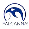 Falcanna - Edmond