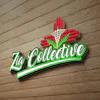 Zia Collective