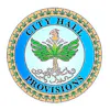City Hall Provisions