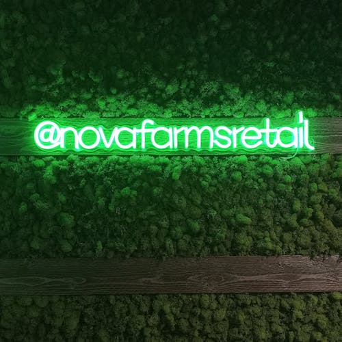 Nova Farms Woodbury Dispensary Menu, Reviews & Photos