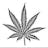 Champion Cannabis logo