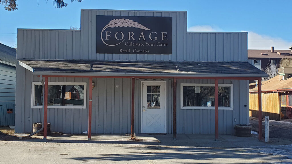 Forage