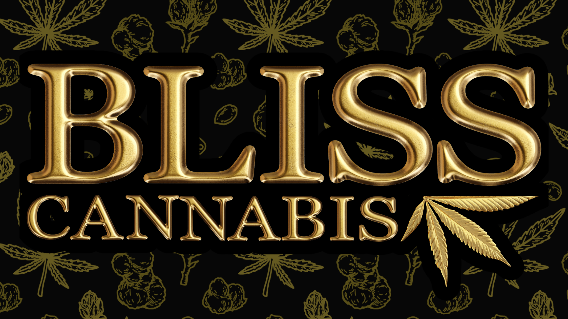 Bliss - Missoula