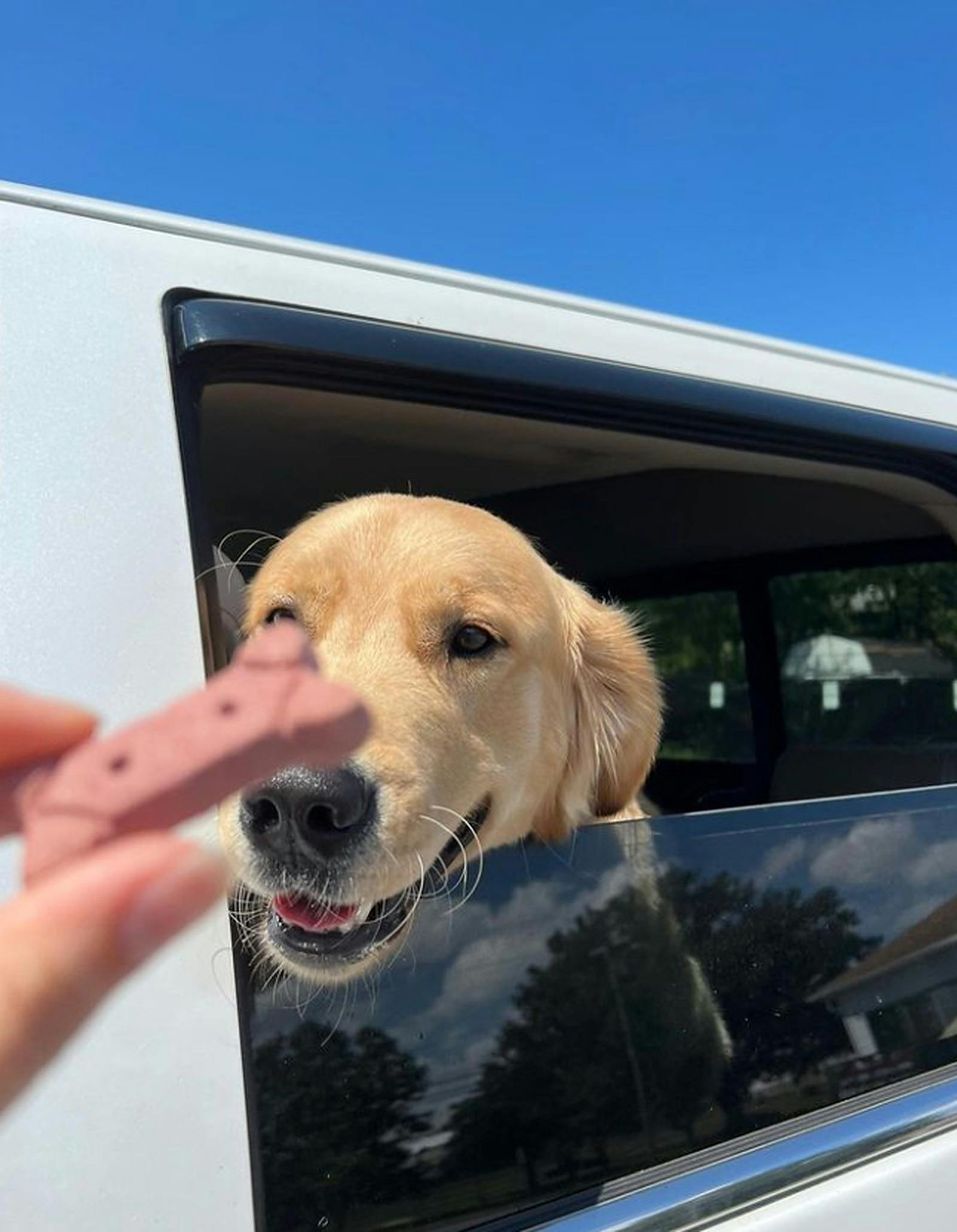 Revolution Releaf (REC) Laurel, MD Dispensary Leafly