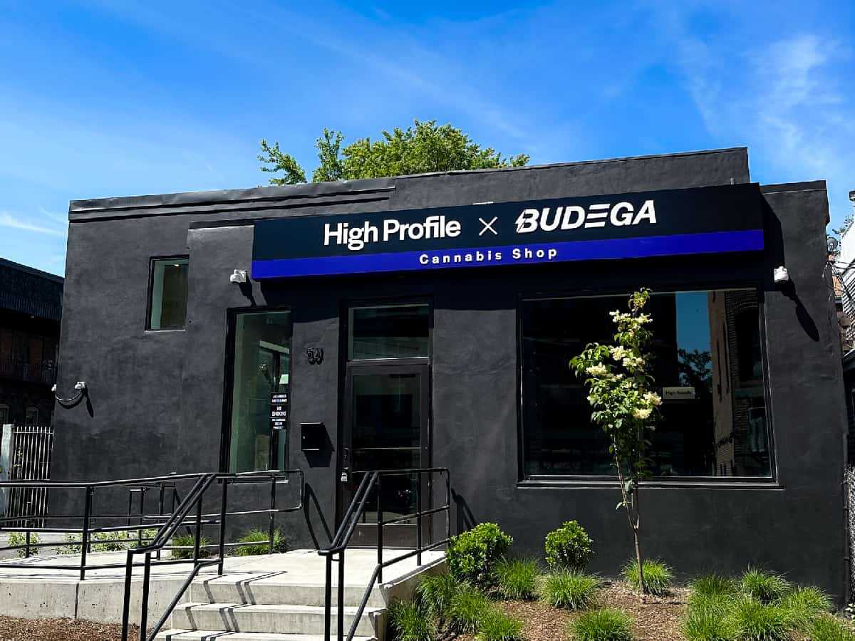 High Profile x Budega - Roxbury