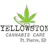 Yellowstone Cannabis Care logo
