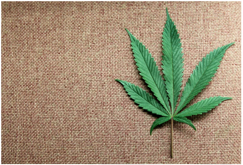 Herbal Alchemy Dispensary Dispensary Menu, Reviews & Photos