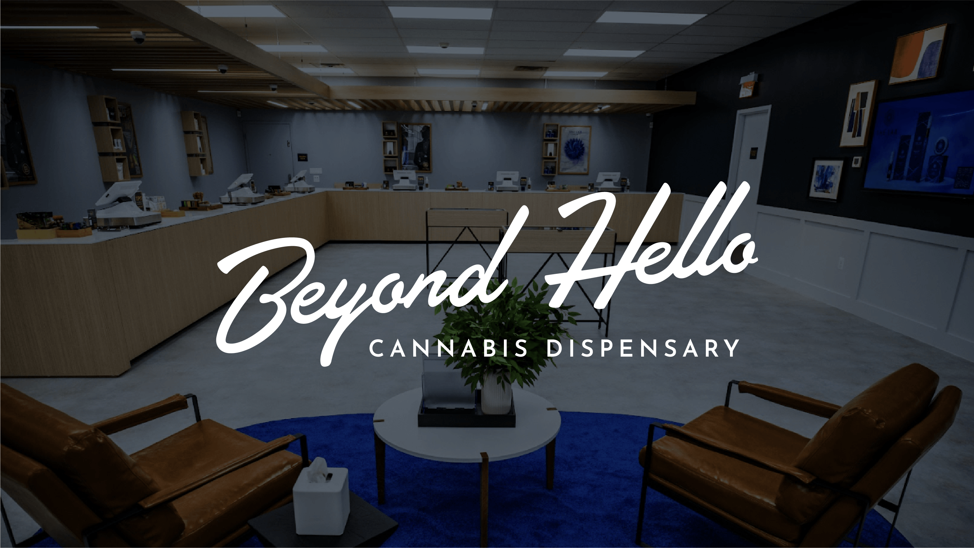 Debeyondhello.Com - cqj2tfu