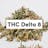 Delta THC & CBD DISPENSARY- Chicago-logo