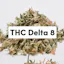 Logo for Delta THC & CBD DISPENSARY- Chicago