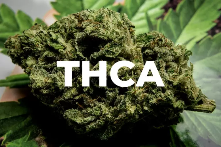 Delta THC & CBD DISPENSARY- Chicago
