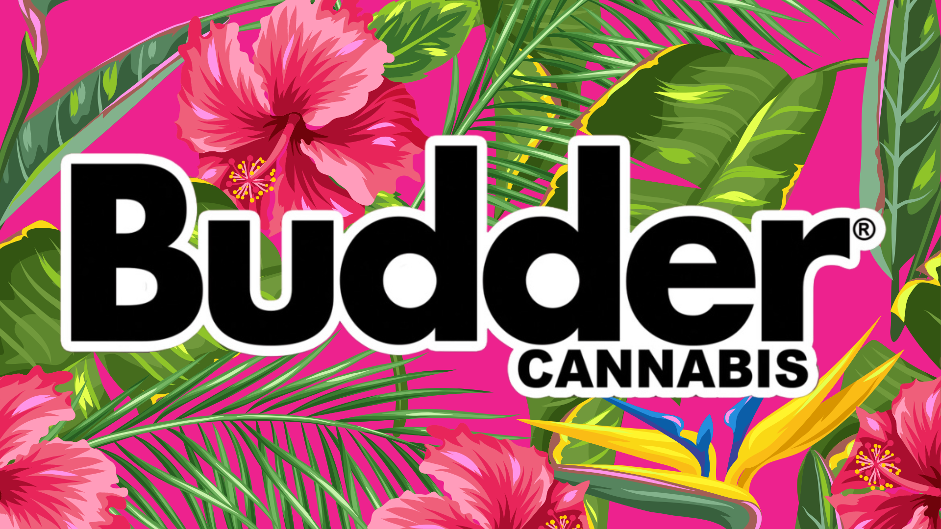 budder-lounge-dispensary-dispensary-menu-reviews-photos
