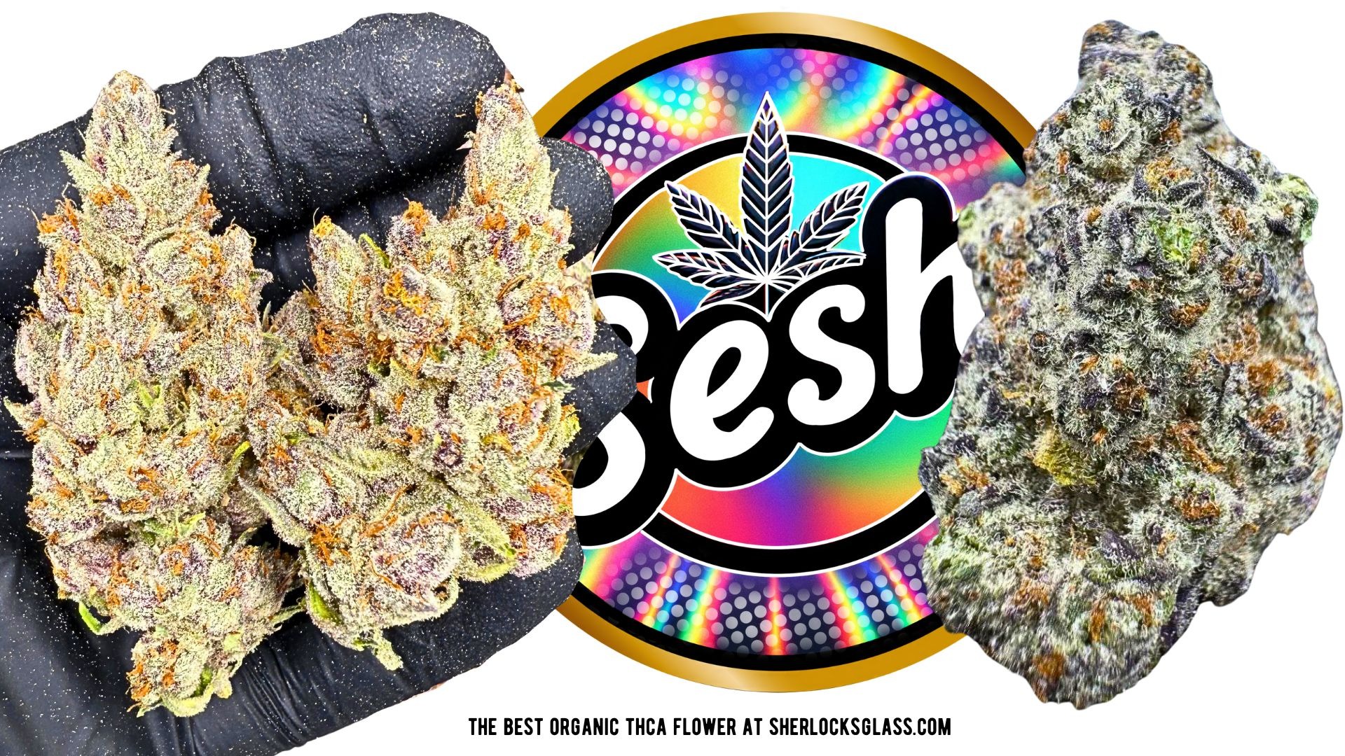 Sherlocks Glass & Dispensary - Durham