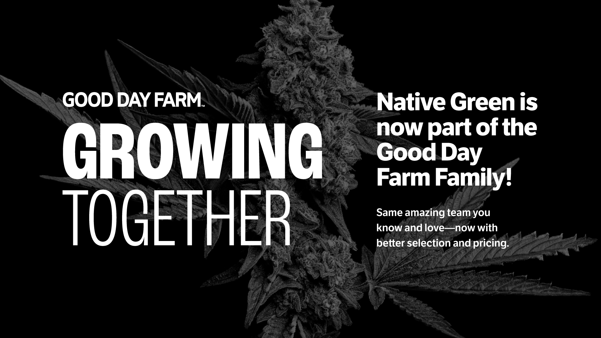 GOOD DAY FARM Jennings NOW OPEN Dispensary Menu, Reviews & Photos