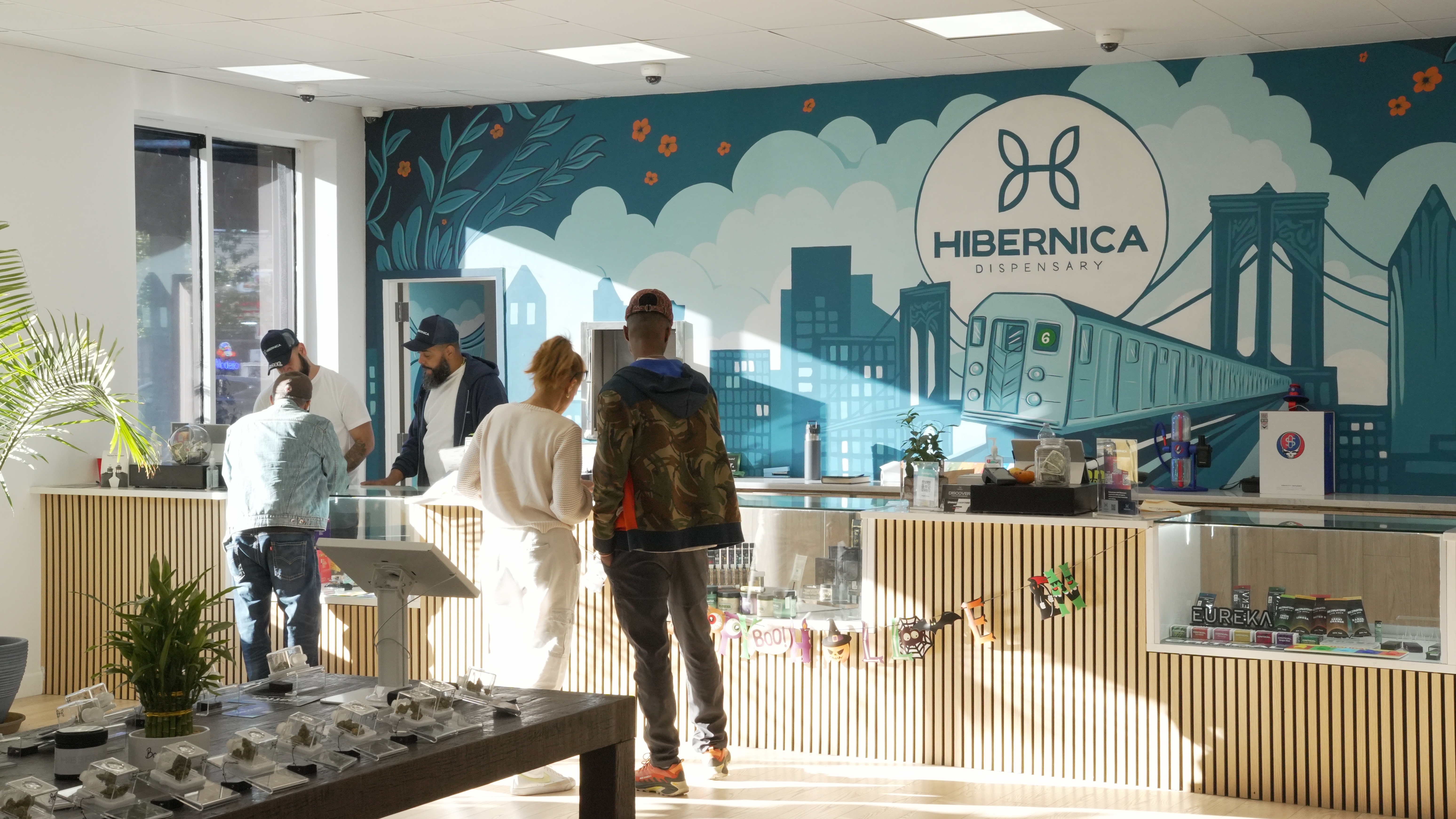 Hibernica
