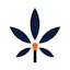 Logo for nuEra DeKalb