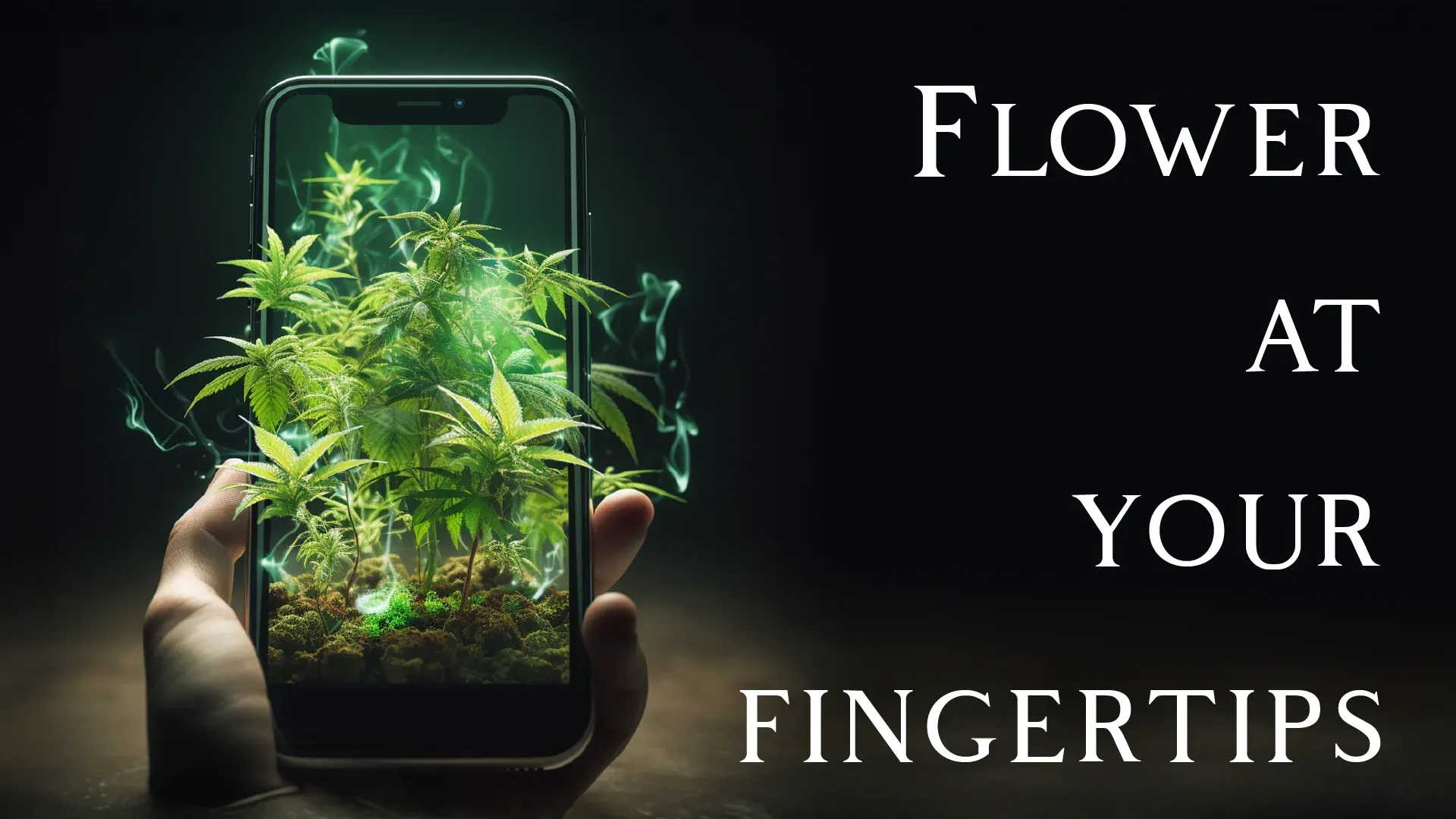 Nature's Herbs & Wellness Milliken Dispensary Menu, Reviews & Photos