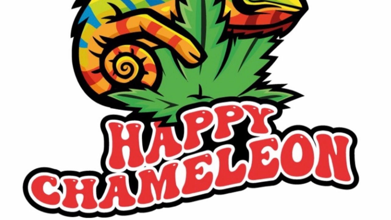 Happy Chameleon