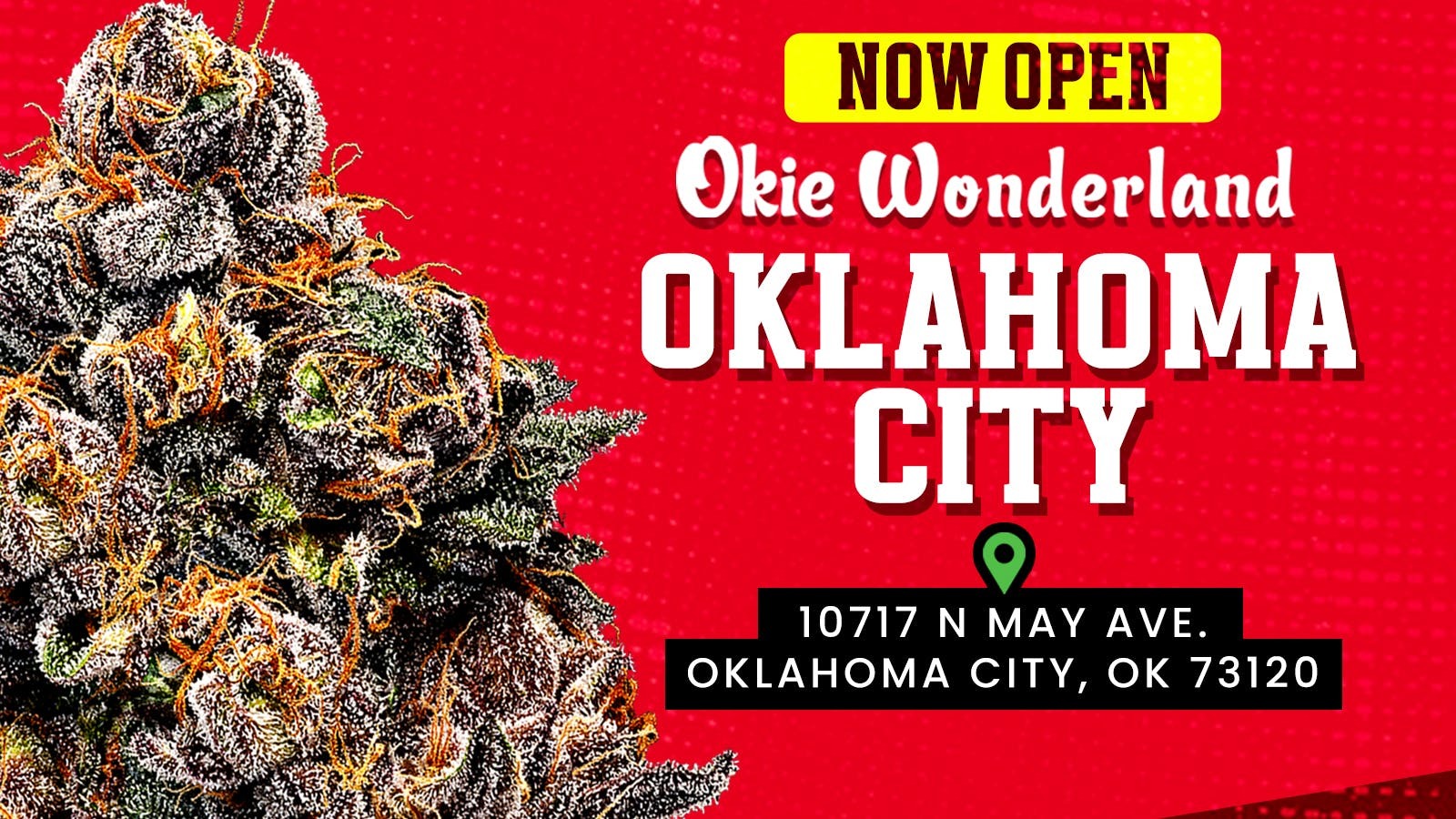 Okie Wonderland - OKC