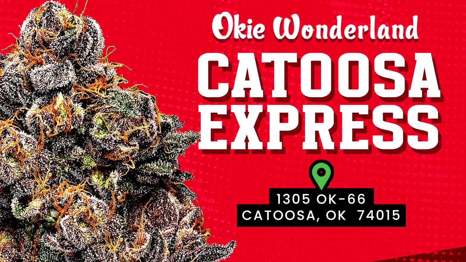 Okie Wonderland - Okie Express