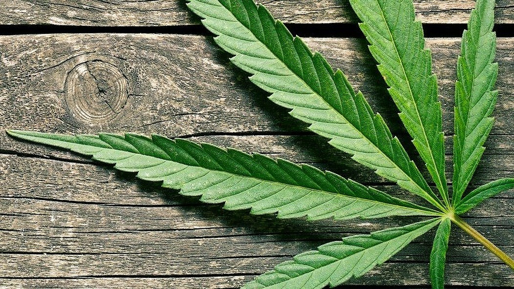 Carolina Hemp Cabinet